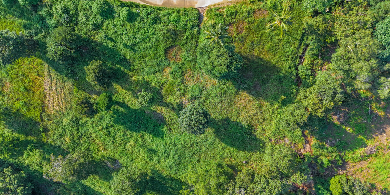 PANORAMIC SEA AND MOUNTAIN VIEWS LAND IN BOPHUT